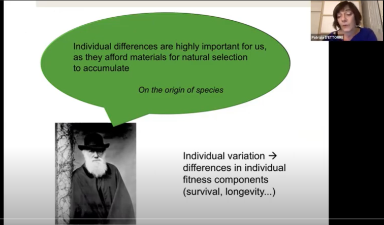 vworkshopiussi's tweet photo. Round table: Inter-individual variation in insect societies
1. Patrizia d’Ettorre – Introduction and basic concepts
2. Iago Sanmartín-Villar – Within and between behavioural variability in ants
@EttorrePatrizia @iagosanmartin 
@secbras @IUSSI_NWES @InsSociaux #vworkshopiussi https://t.co/tejh8TUwWL