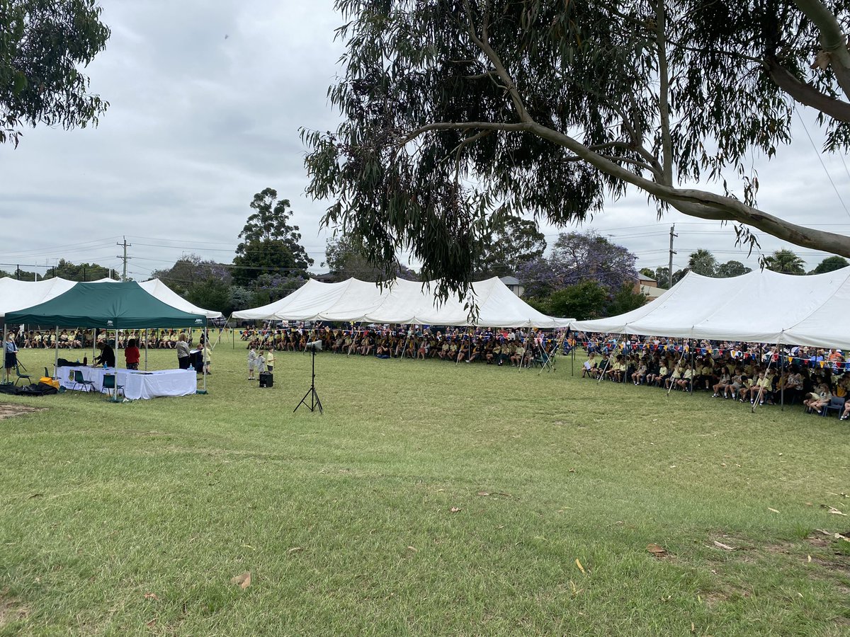 Andrew Hooper tweet media