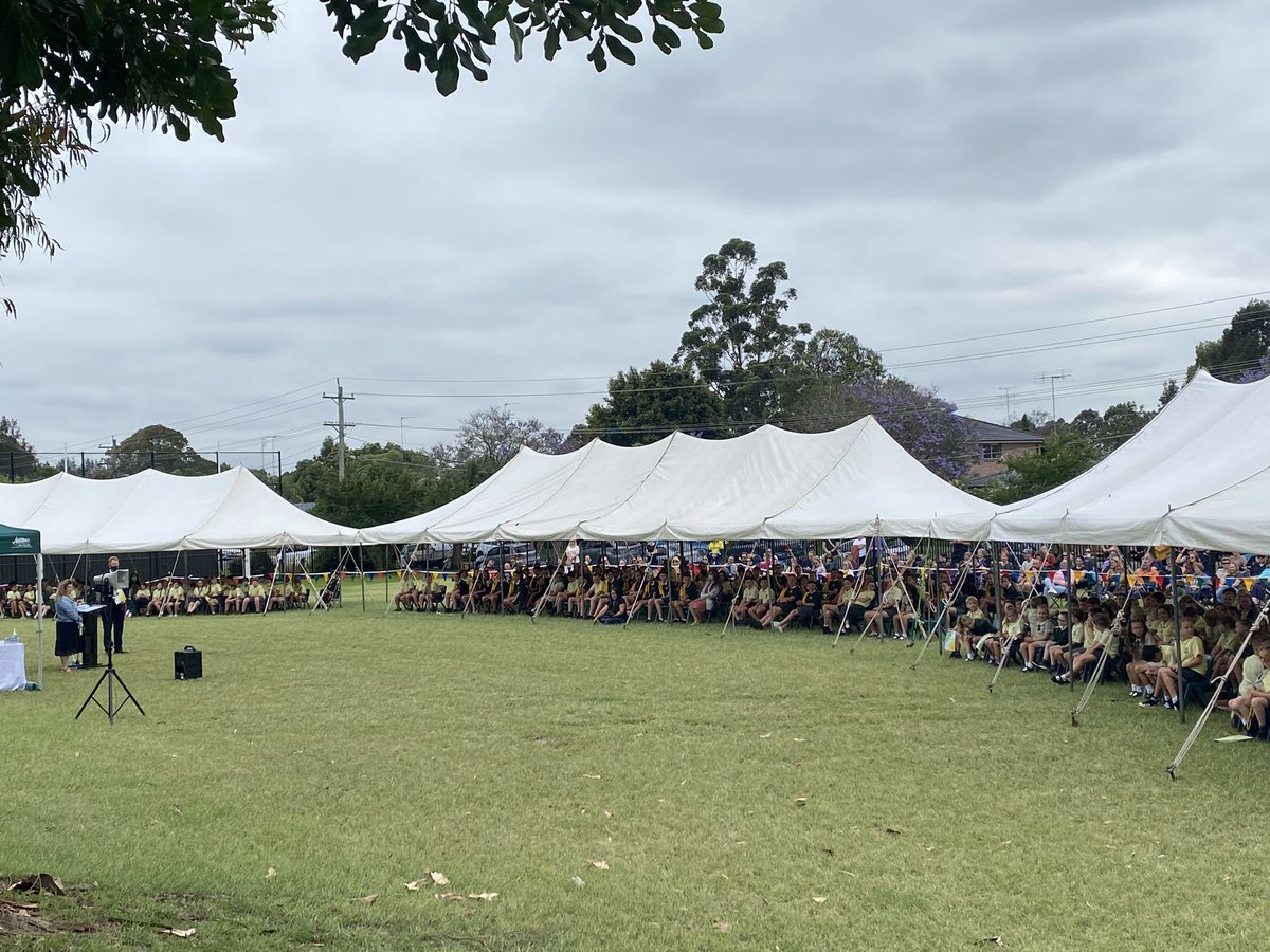 Andrew Hooper tweet media