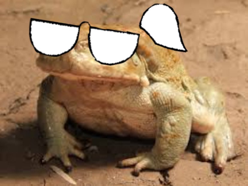 arizonastatethe's tweet photo. alternate timeline where julia got turned into a toad on tonight’s @TVandD https://t.co/E74fP4UUl9