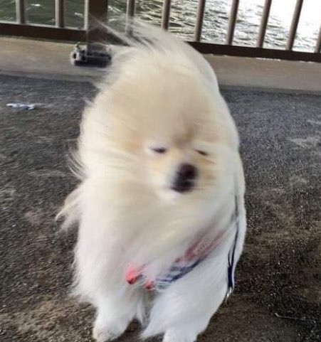 일 (@onewinter_) on Twitter photo 