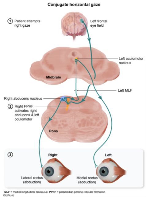 When I put “👀” this is what I mean