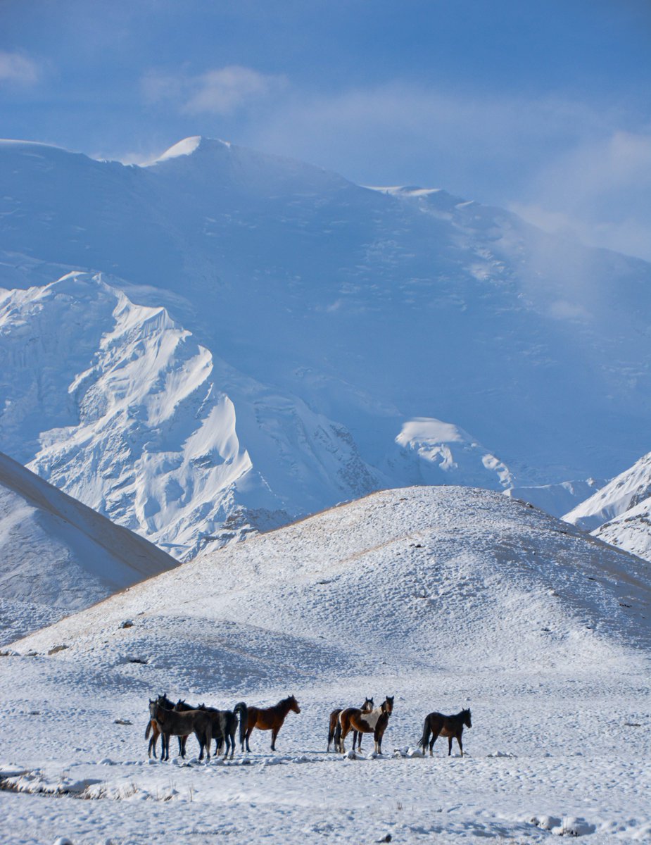 Voyage au Kirghizistan 2022! montscelestes.com/nos-voyages-ki…