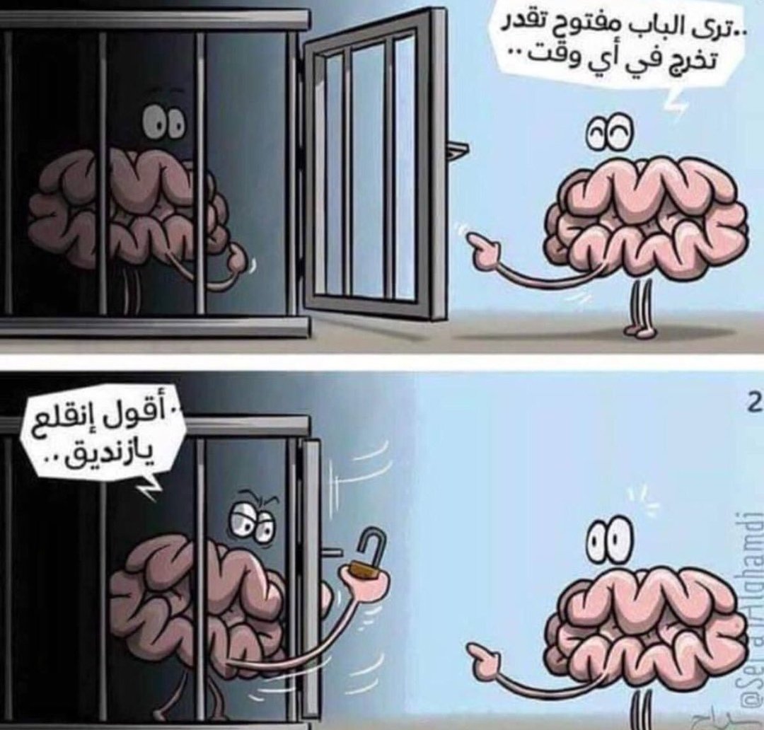 xht12917's tweet photo. عندما يغيب العقل يكون الإنسان 🦜🦜.. صباح الخير والأمل والسعادة للجميع ☕💐 https://t.co/2lYyyzHRbK