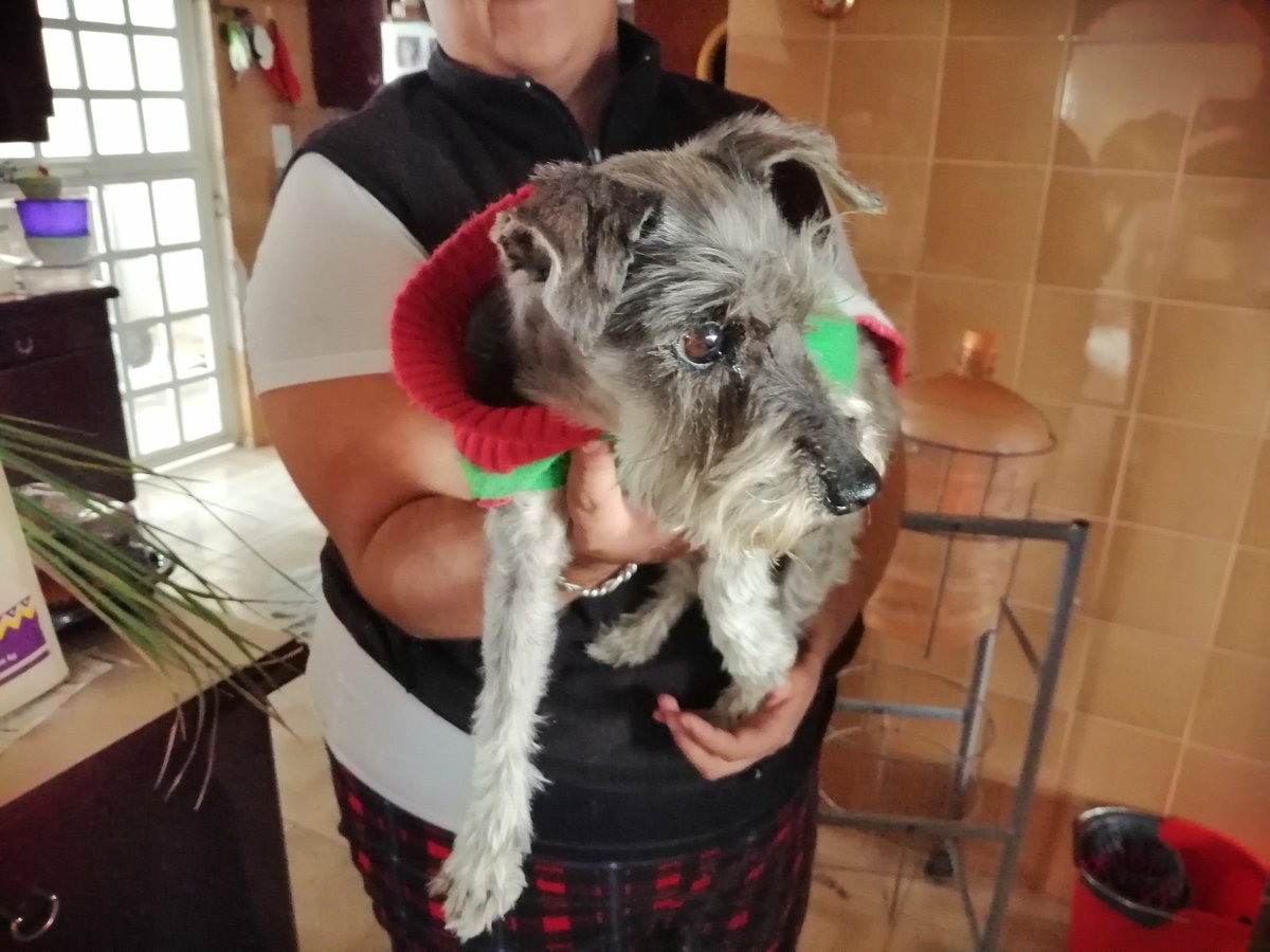 Naz Froitzheim tweet media