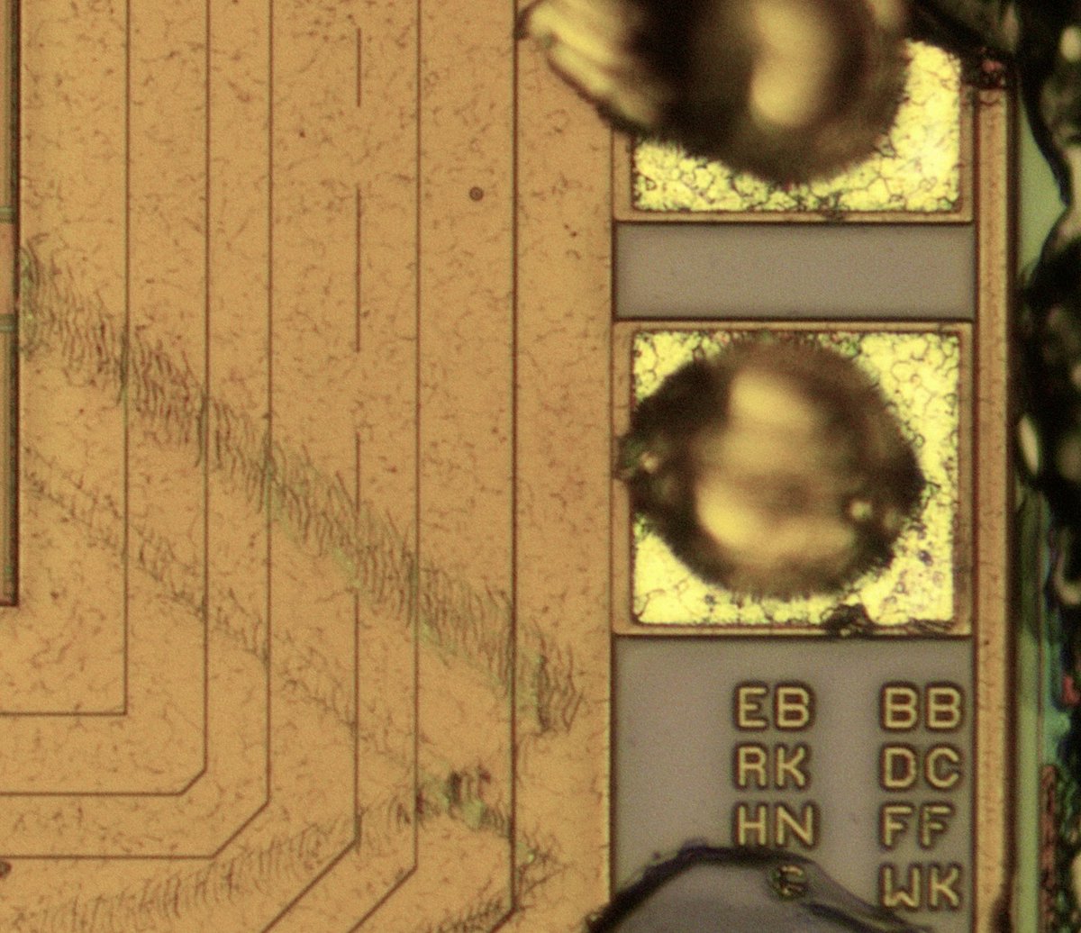 Ryan Ringo tweet media