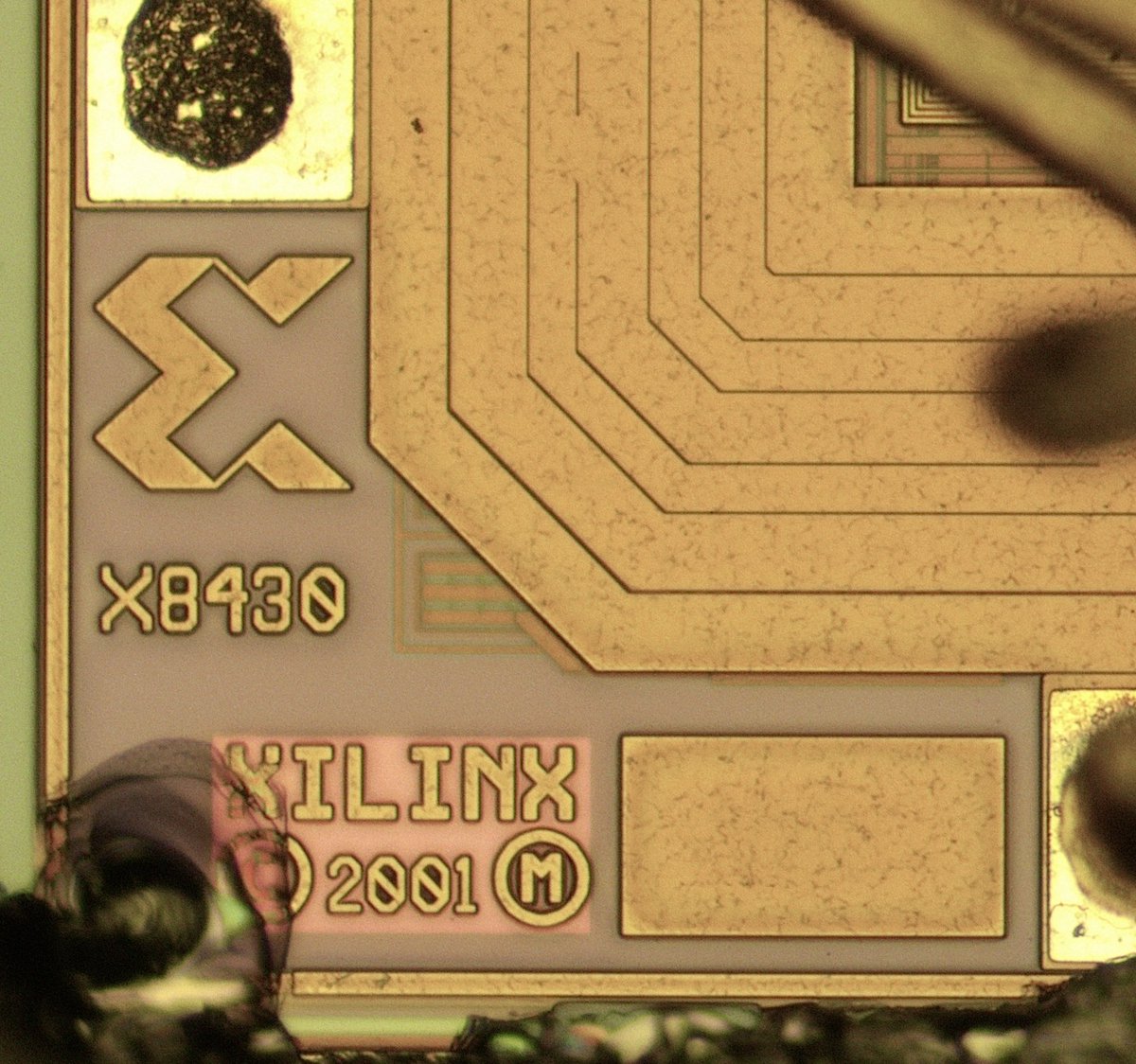 Ryan Ringo tweet media