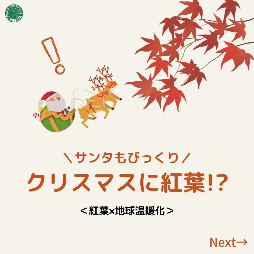 FFFNiigata's tweet photo. 【クリスマスに紅葉？！🍁🎄】
冬といえば…、クリスマスですね✨🎄

ですが近年は地球の温暖化によって、紅葉の時期が遅れていると言われています。

このまま気候危機を放置すると、秋が遅くなり、サンタさんがプレゼントを届けられなくなるかも…。😢 https://t.co/QJDrkxza4V