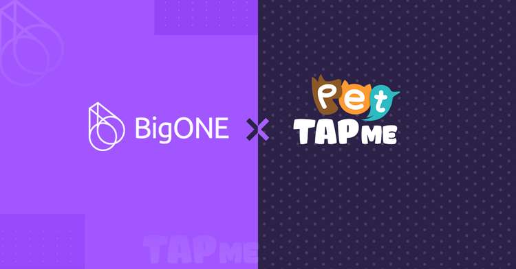 Coming soon! 👏 <a href="/Pet_Tapme/">PET TAPME</a>