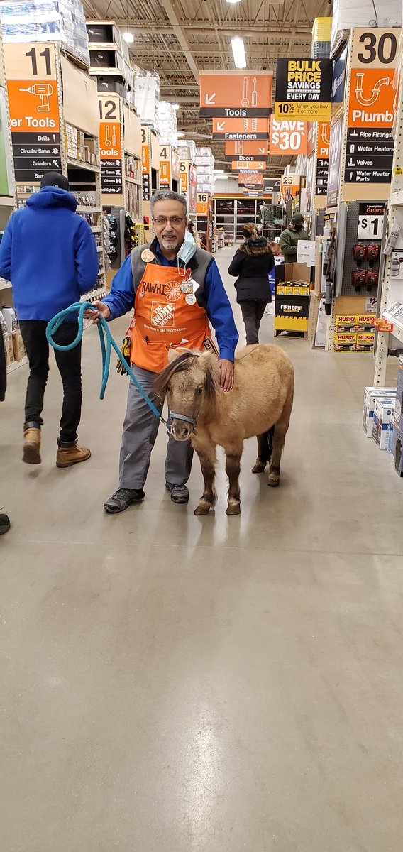 rawhikh's tweet photo. THD Countryside #1983
#miniature horse https://t.co/z5rVZUaN6F