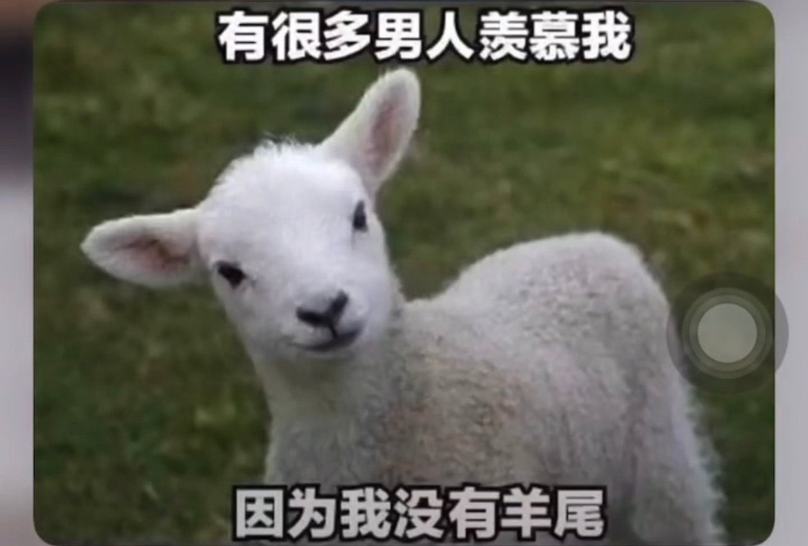 Aquarius_cx330's tweet photo. 笑死了，这个图 https://t.co/EYr3NNJoHR