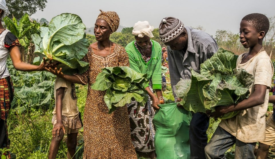 FAOFFKP's tweet photo. Family farmers are needed for the transformation of agri food systems. The facts speak for themselves
Click here to read more 👉https://t.co/F3hSLjkl0M
#Familyfarming
#FoodSystems https://t.co/uB0eGYHaPL