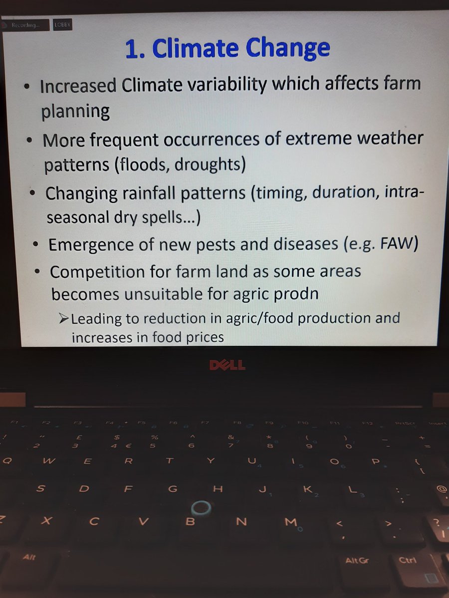 Julie Reeves tweet media