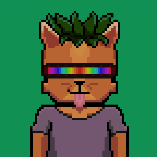 PolyCatsNFT's tweet photo. These PolyCats are sold well below minting price.
Teach them how to meow properly 🐱

https://t.co/IPB0nhC1Tm
https://t.co/FKXhowdGzG

#NFT #NFTGiveaway #NFTs #opensea #nftcollectors #Polygon #polygonNFT #polycats #NFTartists #NFTCommunity #NFTGame #nftart  #NFTdrop https://t.co/QX8VrxMeUn