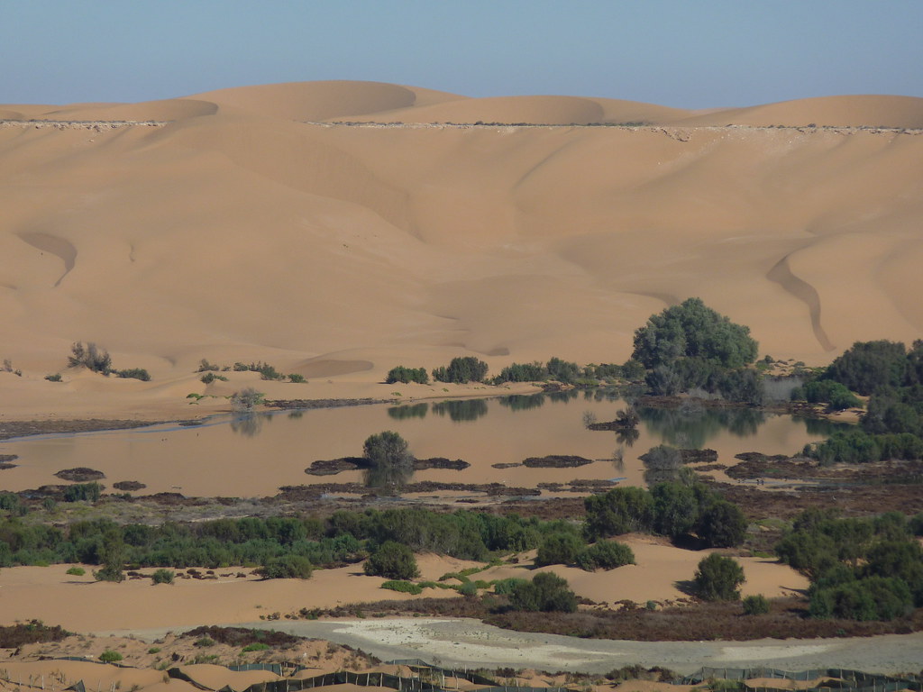 Celebrating the important efforts of Sustainable Biodiversity Conservation in Africa. #WesternSahara #SustainableTourism #SustainableBiodiversity