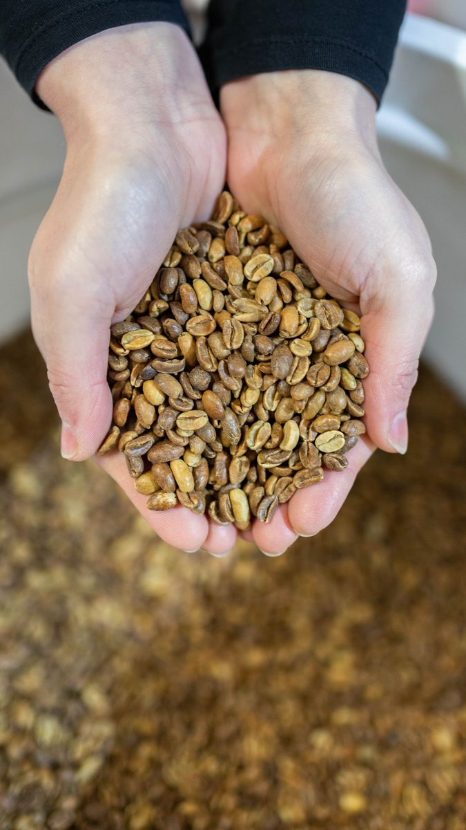 Imbibe Coffee Roasters tweet media