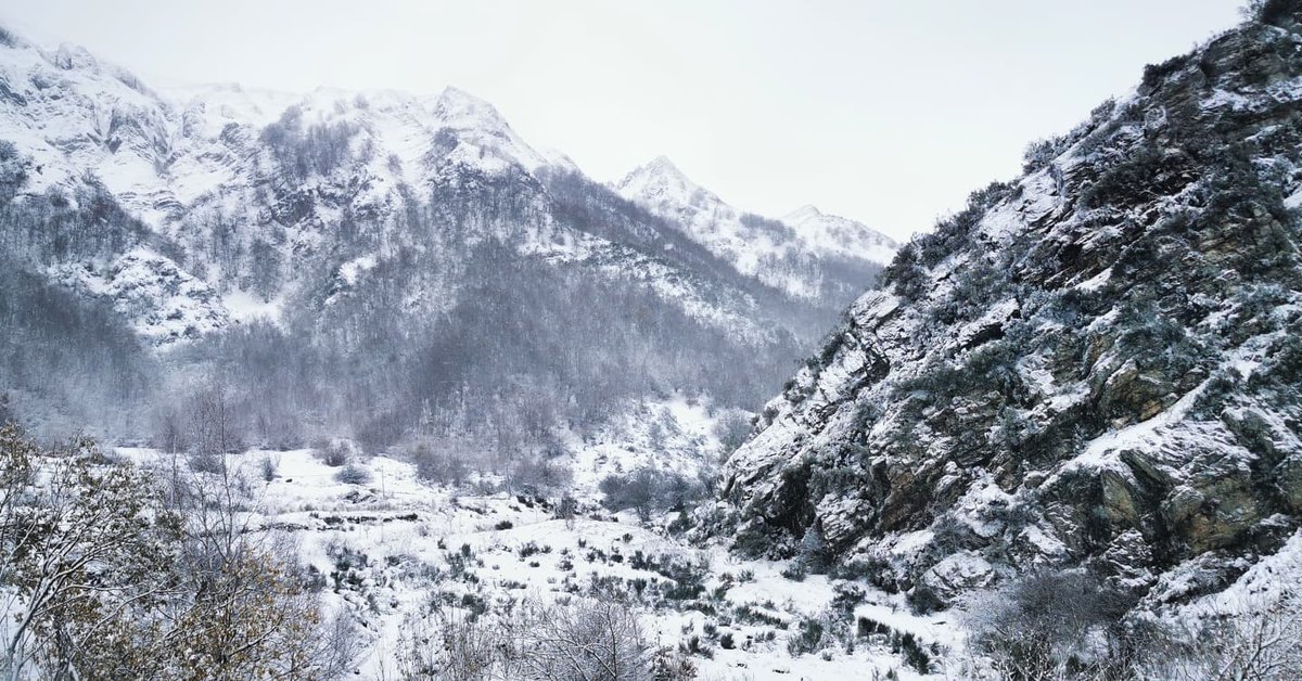 OficialSomiedo's tweet photo. ¡#Somiedo vuelve a amanecer nevado! ❄️
Para el fin de semana se esperan lluvias pero es posible que podamos aprovechar unos cuantos momentos de actividad en la nieve🏔️☺️
.
#DescubreSomiedo #ReservaDeLaBiosfera #Naturaleza #Invierno #Asturias https://t.co/UsoM6BohEM
