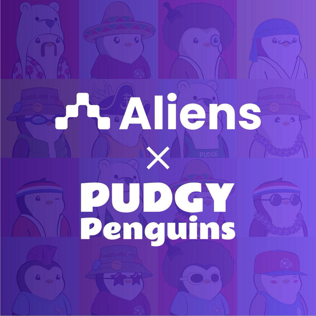 aliensapp's tweet photo. Heyo, wanna bring home a chubby #PudgyPenguin? Do the following and get yourself one.

1. Download Aliens app and sign up (link in bio)
2. Follow @aliensapp
3.  Follow @Pudgy_Penguins
4. Retweet and tag 3 friends
5. Go to Profile on Aliens app and tap Participate

Good luck 🦾 https://t.co/732f8GEhF1