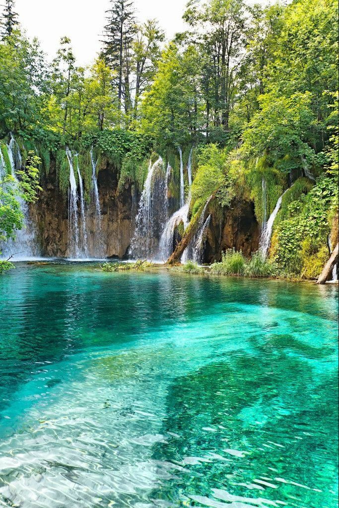 BeautyNature___'s tweet photo. Waterfall.😍
#nature #NaturePhotography https://t.co/UeRWdrokID