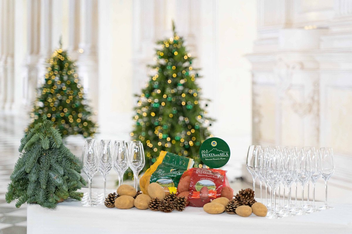 PPAS19111189's tweet photo. Oggi su “Cotto e Mangiato Menù alla Corte"   alle 12.10  Italia1 con
 @tessagelisio,scoprite la ricetta originale di   #AndreaMainardi con la Patata della Sila IGP🎄🥔
Buona Immacolata ❤️
#ppas #patatadellasilaigp #cottoemangiato #italia1 #tv  #zefiroagenziapubblicitá https://t.co/yXpc0QI84s