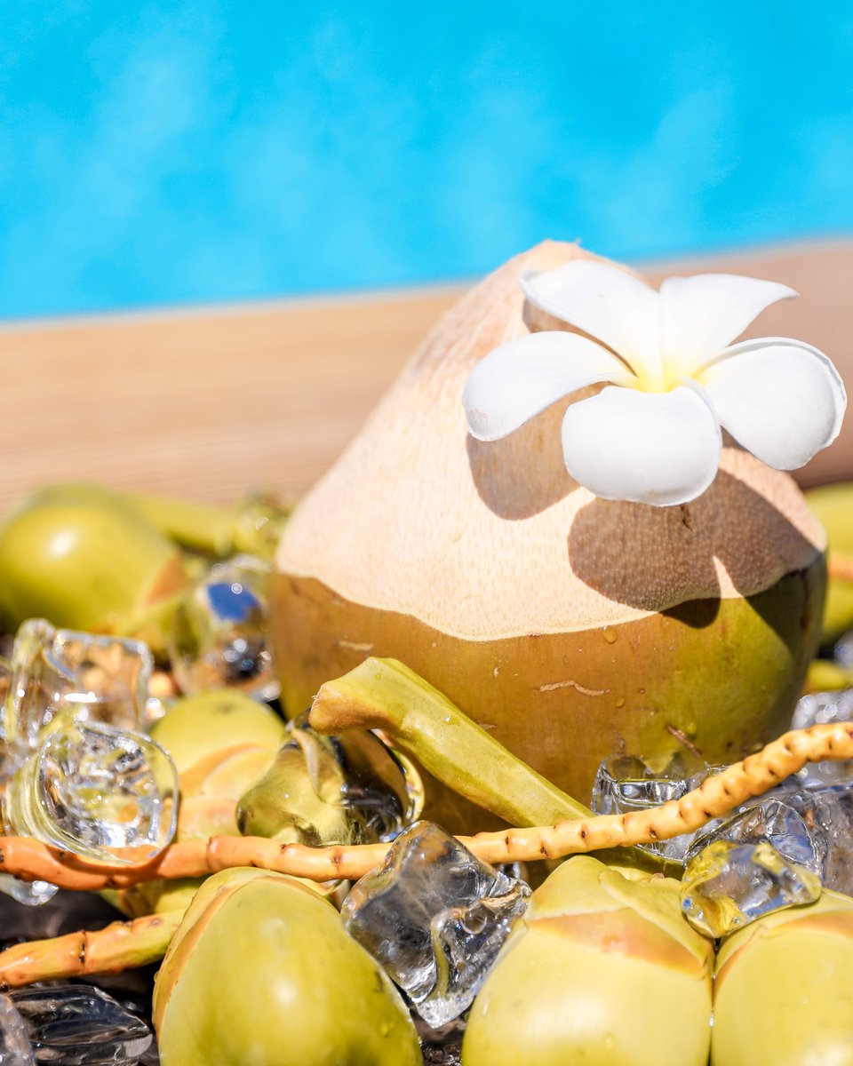 kagi_maldives's tweet photo. Join our perfectly wonderful mornings by the pool to lazy around basking in the sun and enjoying refreshing coconut (Kurumba) ✨
#kagi #kagimaldives #kagimaldivesspaisland #kagimaldivespurelife #maldives #traveling #drinks #cocnut https://t.co/qXRfMvCEmx
