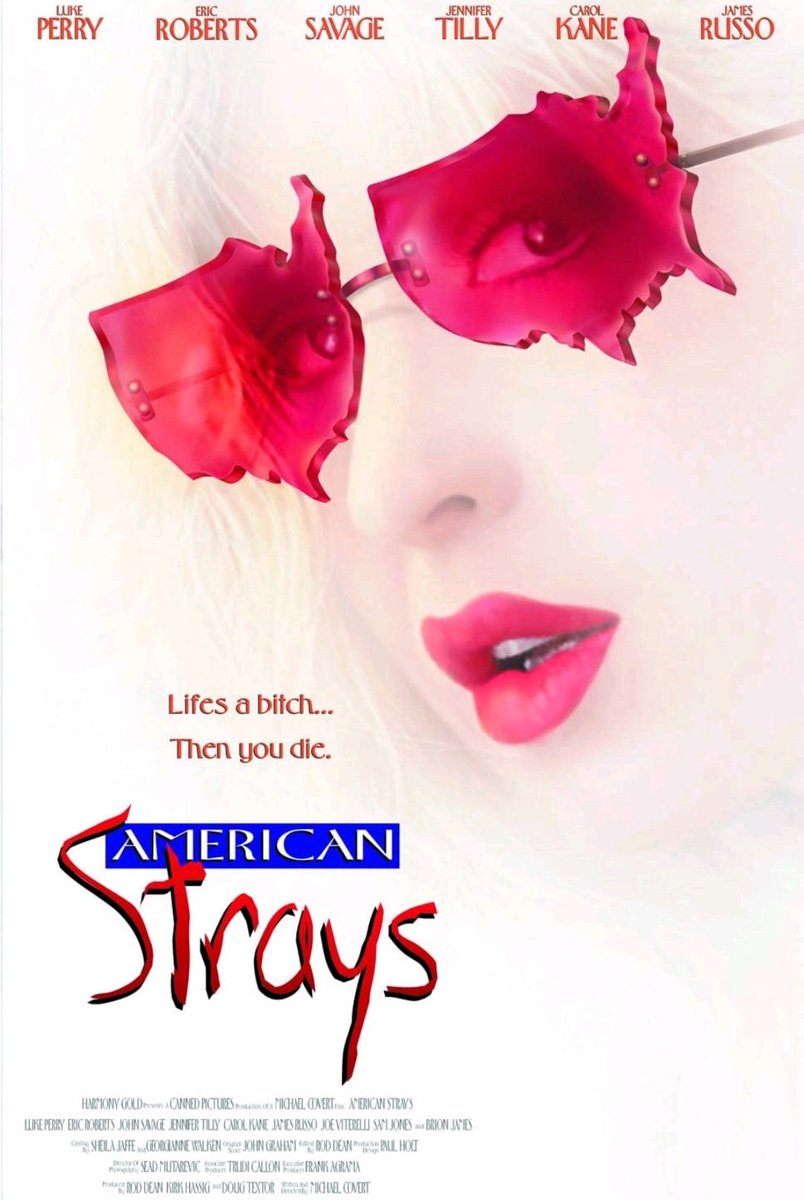 TheFilmFair's tweet photo. #BrionJames triple bill #Cyberjack #AmericanStrays #PreciousFind https://t.co/YTXhLhPwz1