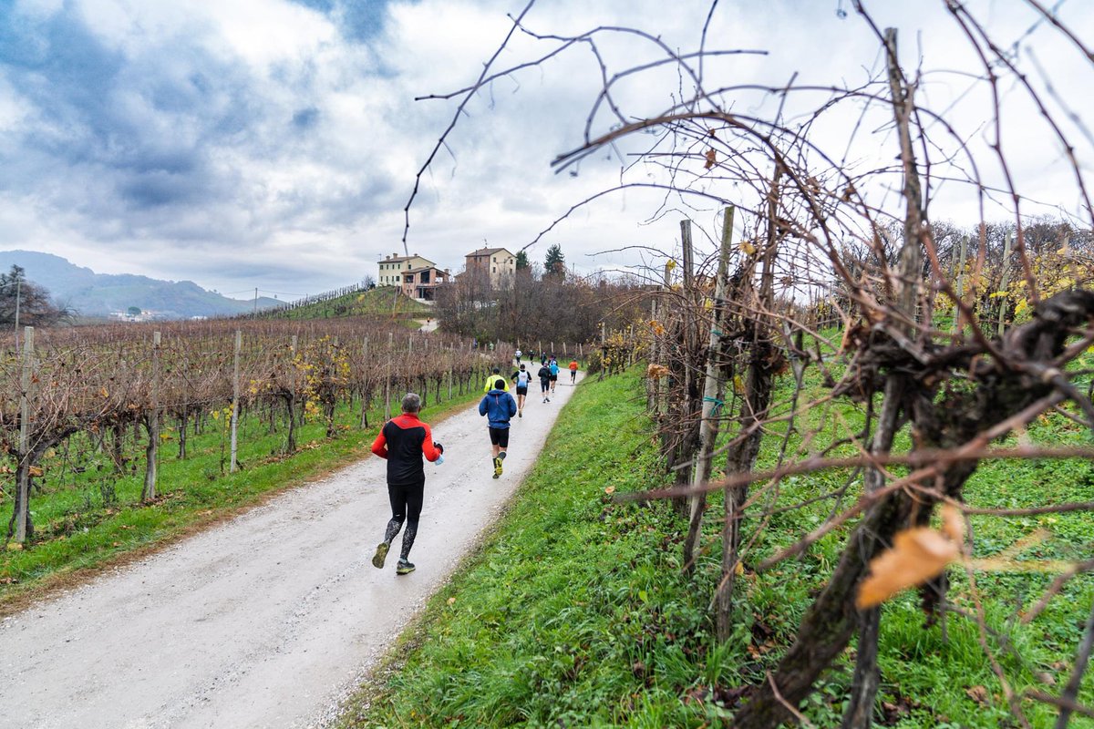 carlobonato's tweet photo. Il Prosecco non si beve solamente #ProseccoRun. https://t.co/6VyB6A2FJ5