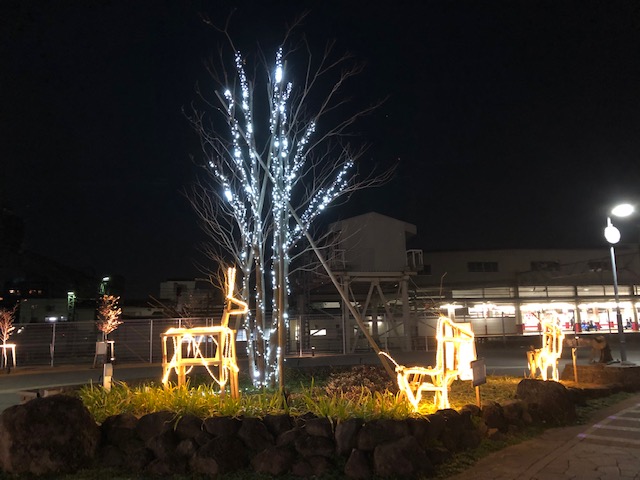 Tobu_skytrline's tweet photo. 新装された東武動物公園駅西口の広場ですが、今年からはより多く、イルミネーションが行われています。

お買い物帰りにご覧ください。

#みやイル #宮代町 #無印良品 #東武ストア https://t.co/uybmP3Hgfg