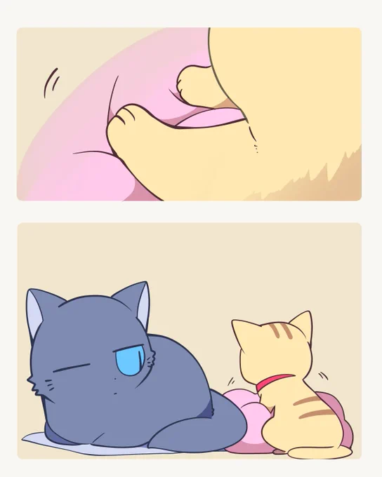 寝床をふみふみする仔猫とそれを見守るモフ猫💤 