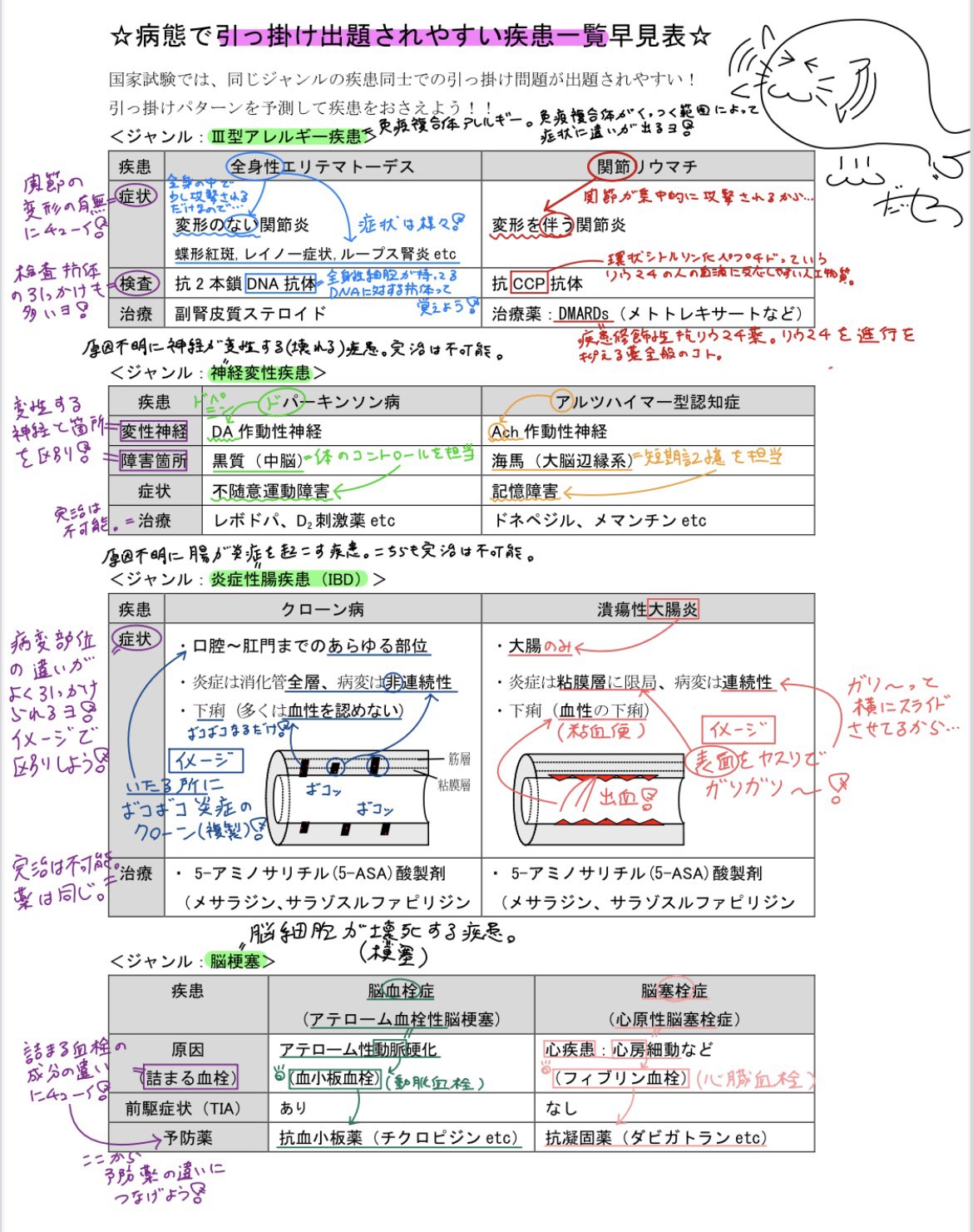 講義ノート 薬剤師国家試験(まとめて購入)（2025年最新海外限定