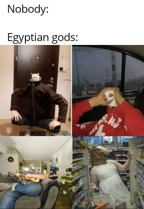 Classical Studies Memes (@csmfht) on Twitter photo 
