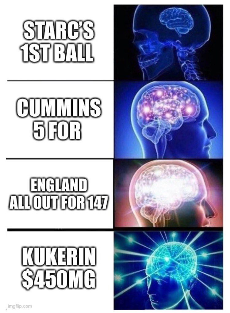 🤣 🏏 #AUSvENG #Ashes #mitchellstarc #Bunge #Grain