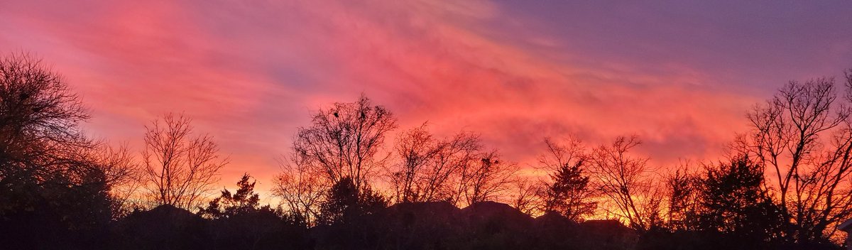 BluSaberWielder's tweet photo. Unfiltered life, day 23! Walked out the door tonight to leave the house and I had to.
#OutMyFrontDoor #WhenNatureMakesItEasy #MillenniumFalconLandingPad https://t.co/Ibc5BRPaZA