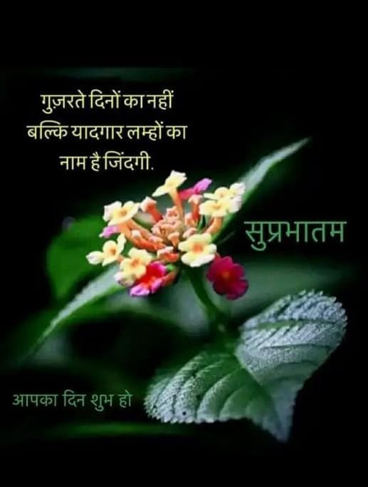 Good morning friends