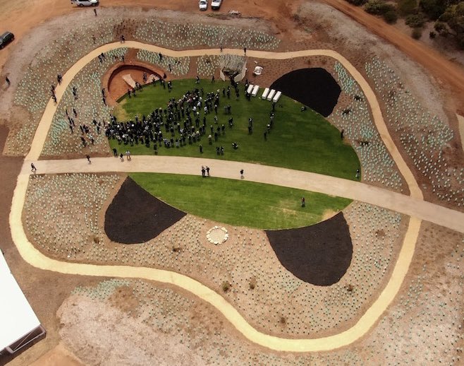 John Carty tweet media