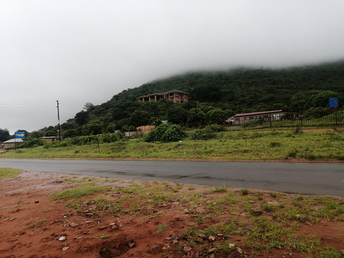 phethani4's tweet photo. "If you do not have anything at all, go camp inside their houses. They are what they are because of you"
Comrade Douglas Ngobeni https://t.co/u2PD7X4CKT