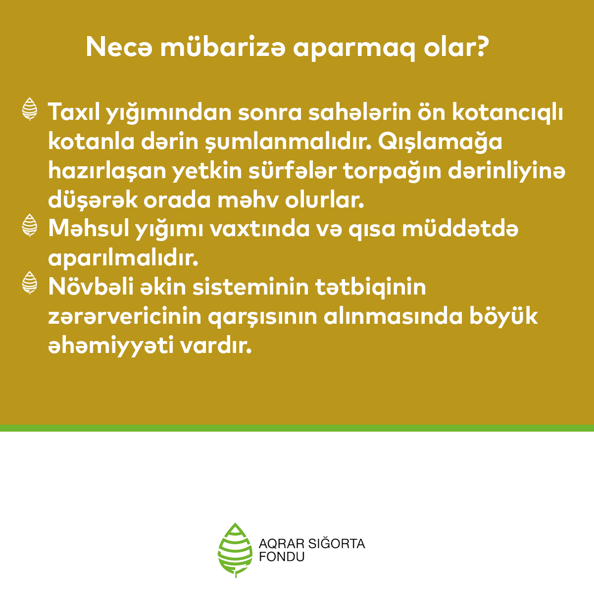 Azərbaycan şəraitində taxıl bitkilərini zədələyən geniş yayılmış zərərvericilərdən biri də taxıl mişarçısıdır. 

Taxıl mişarçısından əkin sahələrimizi necə qoruya bilərik? 

 #ASF #Sigorta #Aqrarsigorta #Taxil