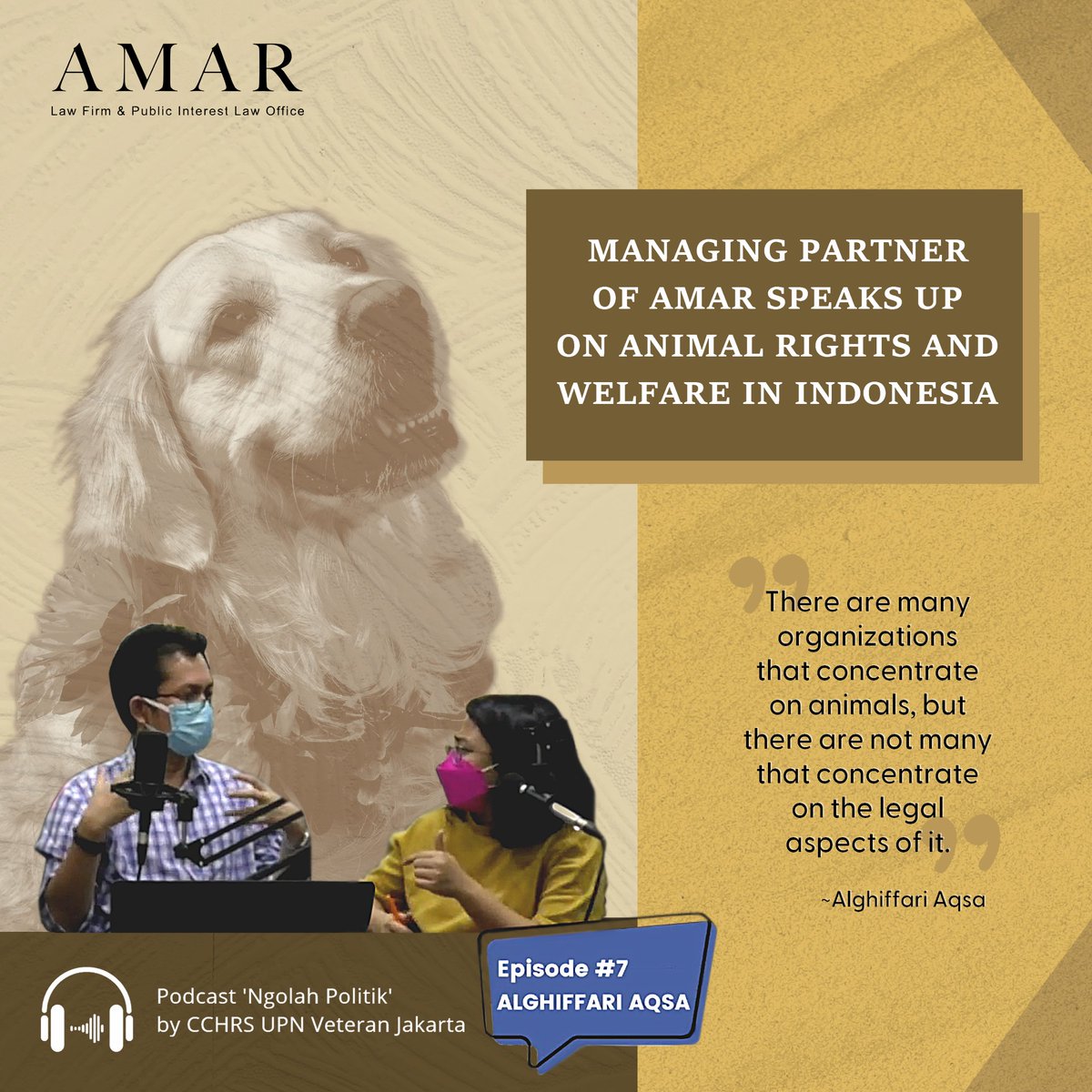 On May 13, managing partner of AMAR, Alghiffari Aqsa, featured as a guest speaker on the podcast ‘Ngolah Politik’ by CCHRS UPN Veteran Jakarta in Youtube. 

He discusses concerns regarding #animalrights and #animalwelfare in Indonesia and the legal aspects of it.