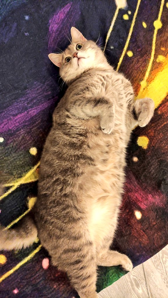 GM to the whole world!Appa and I are glad to see you all👽Here are some tips from the furry Appa:
1.If you are sad,just look at the ceiling and smile that you have a roof over your head
2.Thanks to the Universe that you can create art,even if it looks like a piece of shit😂
#NFT
