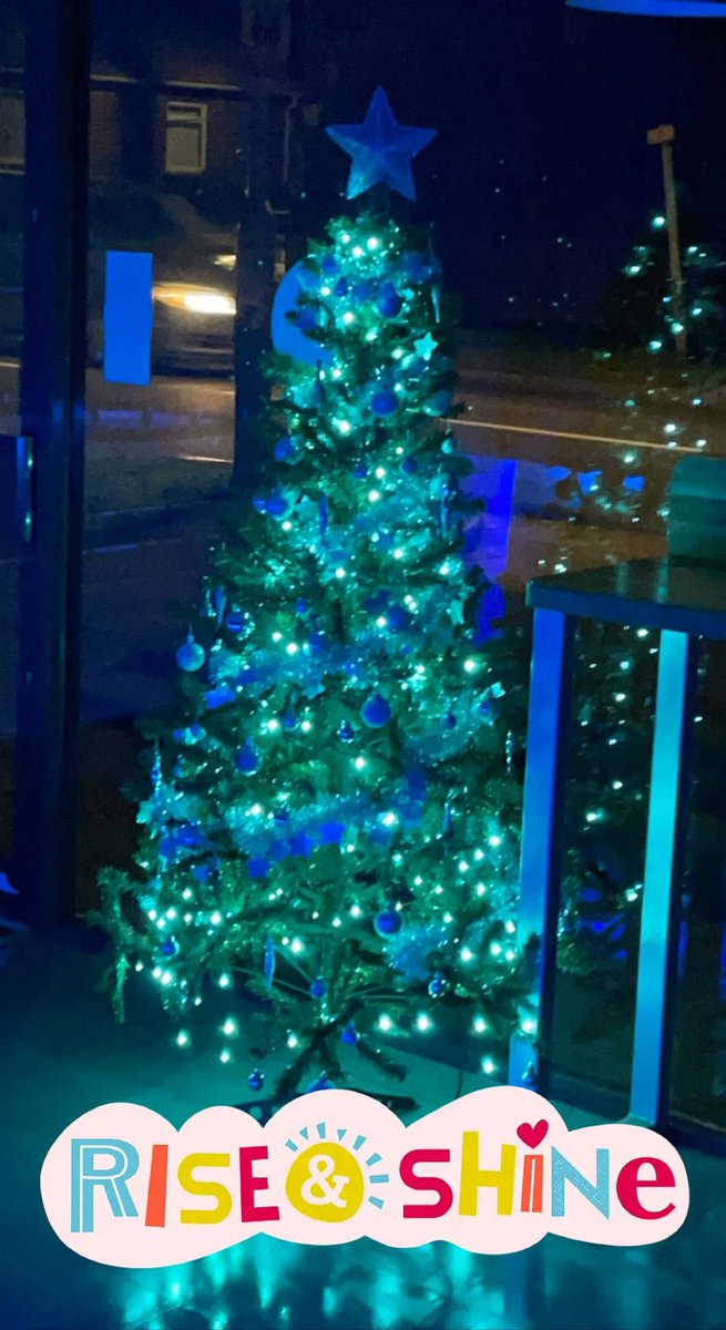 🌲😍