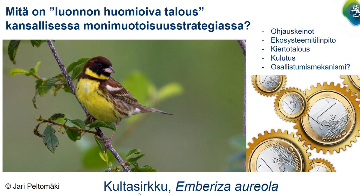 Luonnon huomioiva talous kansallisessa päätöksenteossa. Kaikkia toimijoita tarvitaan! Suomen pitää myös vaikuttaa siihen, miten globaali talous palvelee biodiversiteettiä. @TuuliOrasmaa #vekka #luontokato #biodiversiteetti