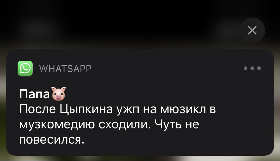После того как я уехала, маме стало не с кем ходить в театр
Под культурный удар попал папа