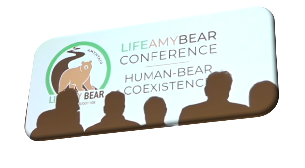 lifeamybear's tweet photo. Let's make the planet a better place for both people and animals!
➡️https://t.co/TQteKviCxA
➡️https://t.co/Kv3AXubt8c
#HumanBear #Coexistence #lifeamybear https://t.co/VEhHPnbUYA