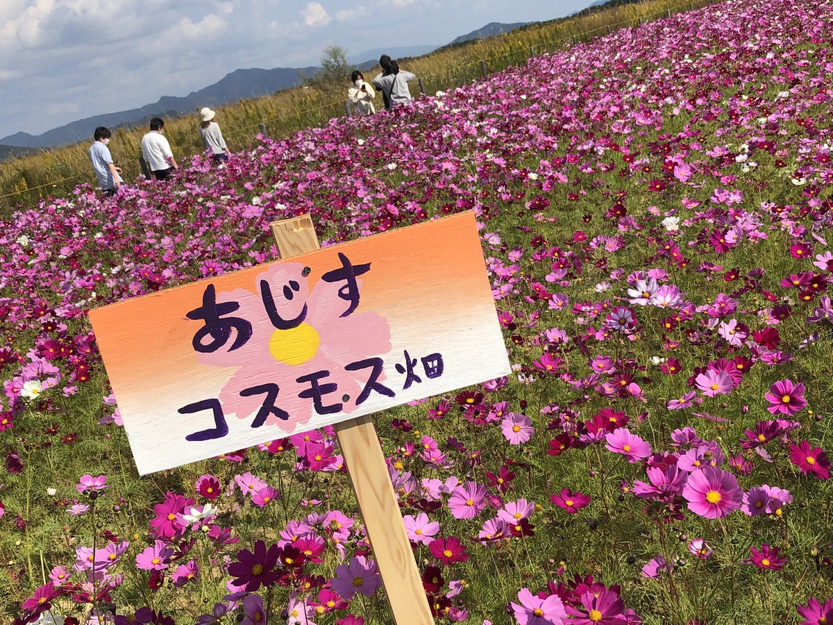 k_njaaa's tweet photo. 山口きらら記念公園10月31日 https://t.co/xuKE4U5dgE