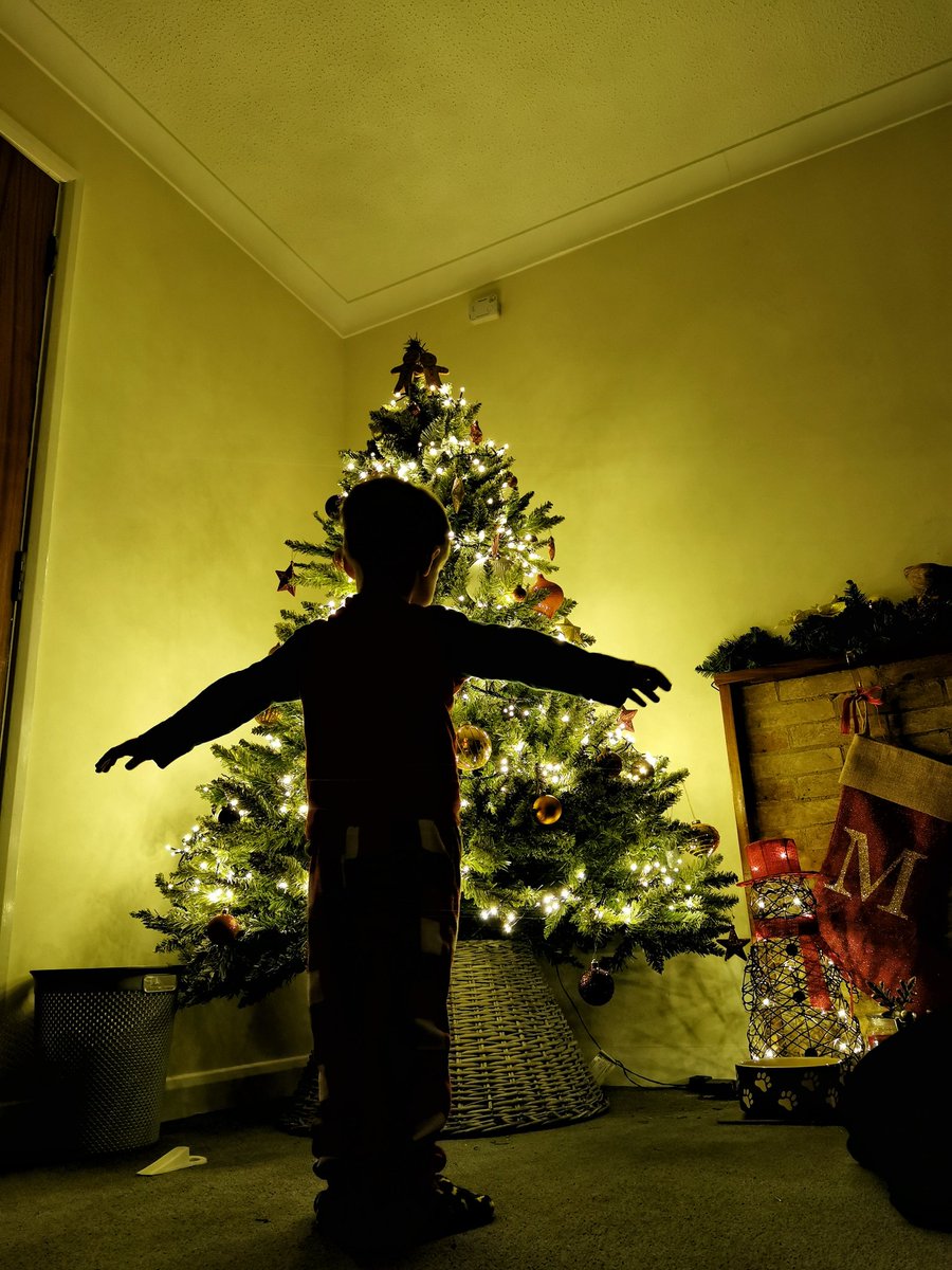 BBQBaby2's tweet photo. Wooowwwwwwwww 🎄
I was excited to see my Christmas tree had gone up overnight. Thank you mummy.
Gingerbread men on top. https://t.co/HKR2Cz0OUk