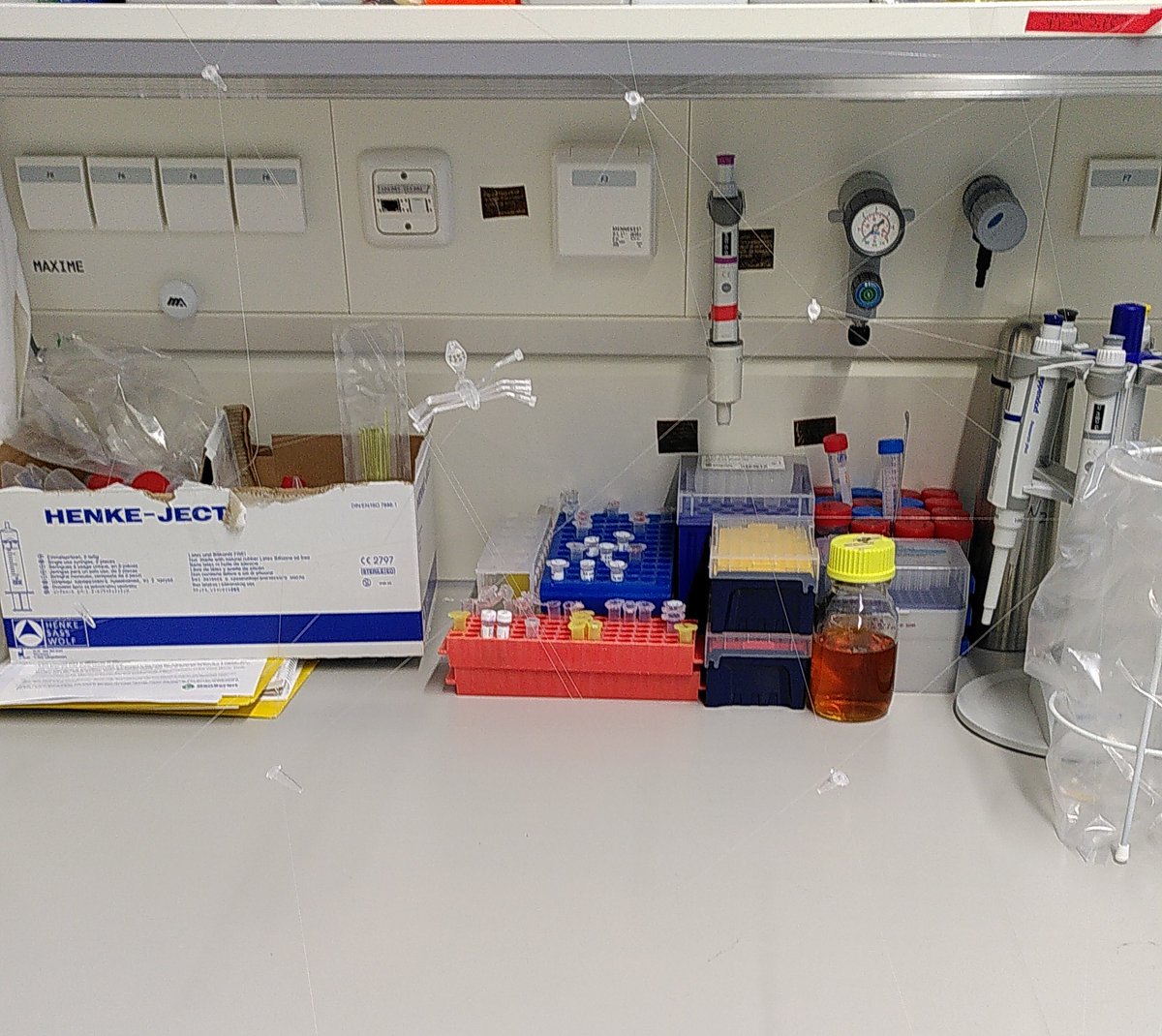 Next up in the Nisse game <a href="/CssbHamburg/">CSSB</a> &amp; <a href="/EMBLHamburg/">EMBL Hamburg</a>  is Maxime (@BenKlr). He apparently left his lab bench unattended for too long. 

One has to admire the intricate design of the spider made of pipette tips and a 1.5 ml tube.