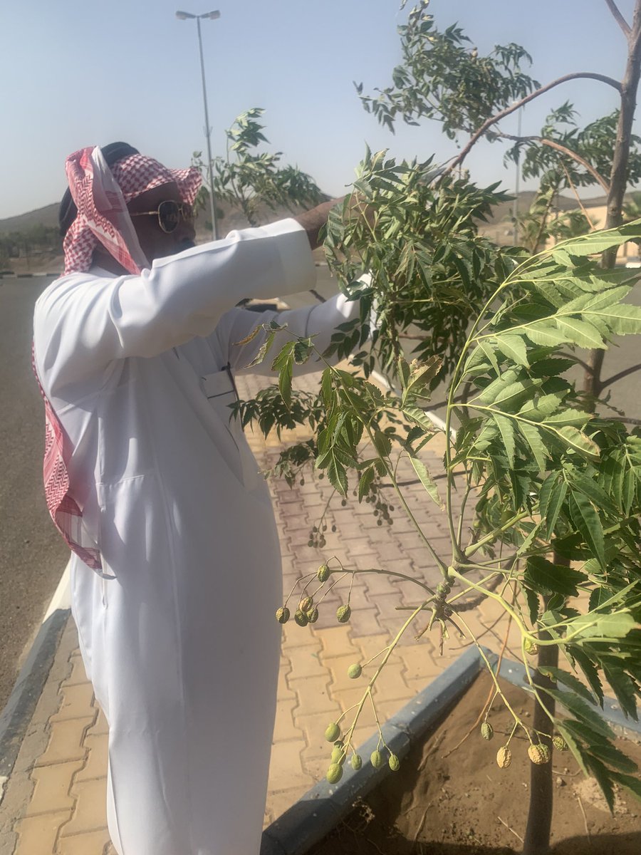 <a href="/ncvcksa/">المركز الوطني لتنمية الغطاء النباتي ومكافحة التصحر</a> <a href="/falmohmd/">مستشار بيئي @ ومهتم بيئي</a> <a href="/arac433/">م عبدالعزيز السحيباني</a> <a href="/mansourmushaiti/">منصور المشيطي</a> <a href="/AdfGovSa/">صندوق التنمية الزراعية</a> <a href="/obidaloni/">عبيد العوني</a> <a href="/Greensaudi_env/">رابطة السعودية الخضراء</a> <a href="/msah0450/">محمد بن صالح الحمود</a> @Almethnbany <a href="/saeedalsuhaimi/">سعيد السهيمي</a> <a href="/saadsa1/">سعد بن رباح العجمي</a> <a href="/5ymah/">سعد المحارب</a> <a href="/MEWA_KSA/">وزارة البيئة والمياه والزراعة</a> <a href="/HRSD_SA/">وزارة الموارد البشرية والتنمية الاجتماعية</a> <a href="/fhahd_alharbi/">صديق البيئة: فهد الوسيدي</a> <a href="/DrAlsharif61/">د. سلطان بن منصور الشريف</a> <a href="/M_Selah_AlNaji/">#الانسان_والطبيعة 🔗</a>