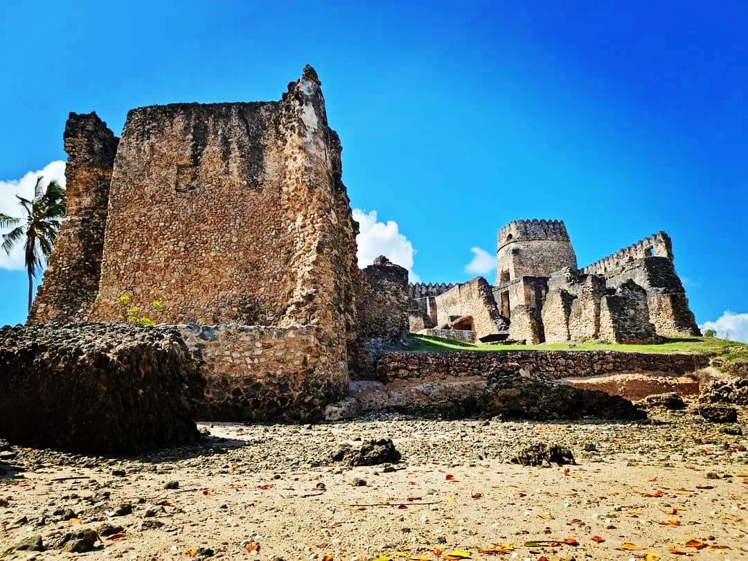 Tamic_Mkabulu16's tweet photo. #kilwa_kisiwani 🏰 https://t.co/OnDIir0mE0