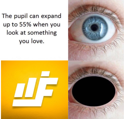 wecub_bear's tweet photo. @Jetfuelfinance my love for @Jetfuelfinance is out of this world 🤣🤣🤣
#HarvestMoonHolidays 🌕 
#MemeContest #BSC #Meme  #FTM #Contest #cryptonews https://t.co/5bhg2mA2dQ