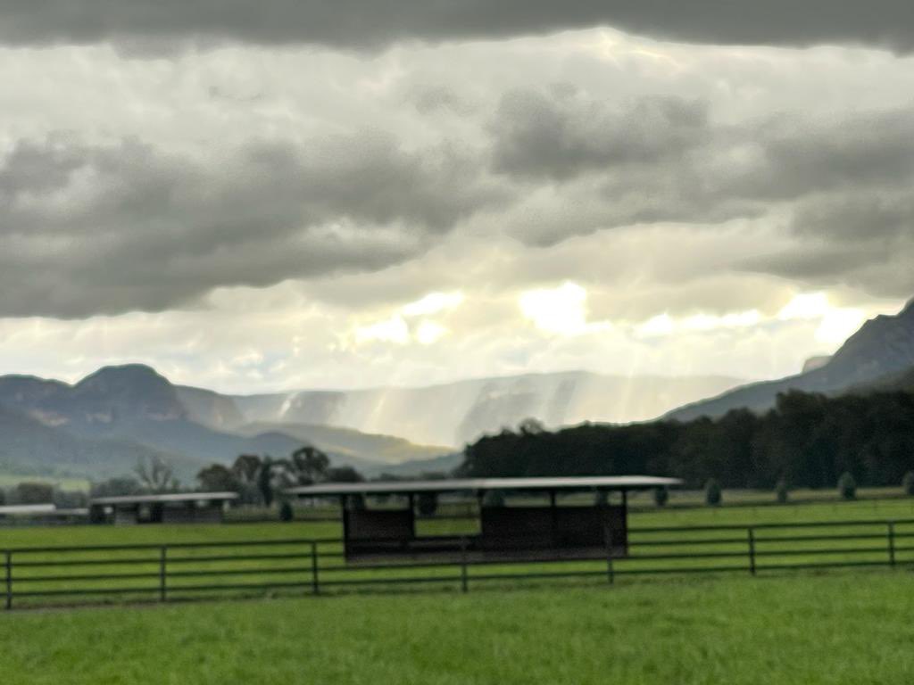 widdenstud's tweet photo. #widdenwednesday The afternoon storms are rolling in this week! ⛈ https://t.co/cbwC2fn3Mr